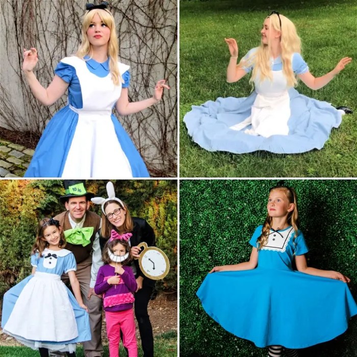 Diy alice in wonderland costume