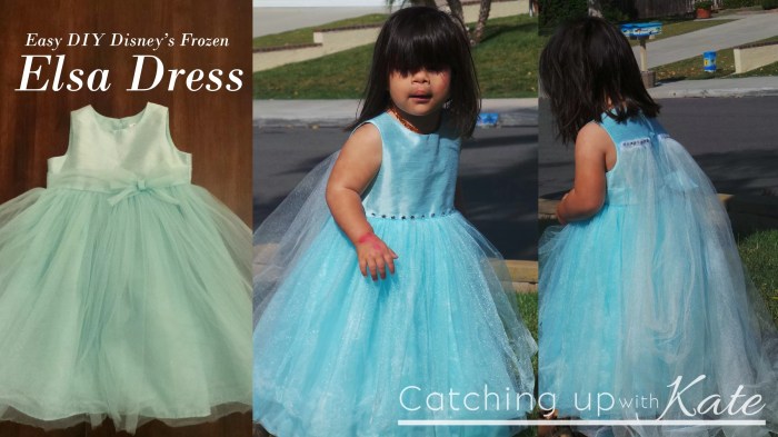 Frozen elsa costume diy