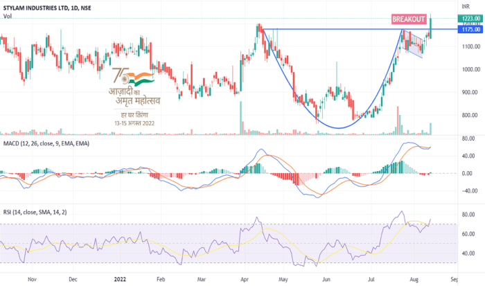 Stylam industries stock price