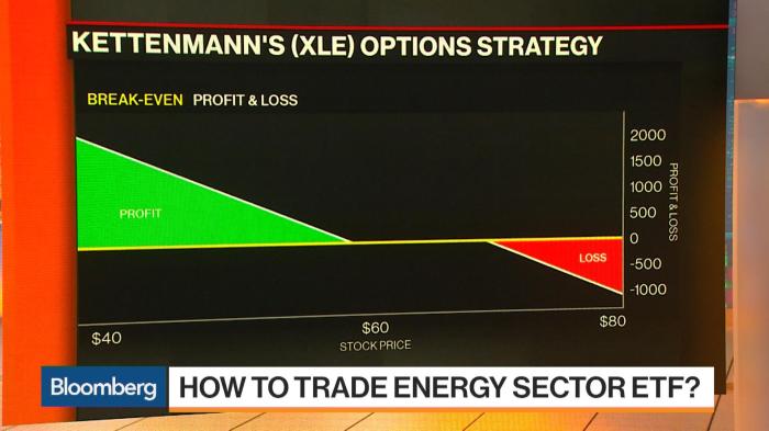 Stock price xlu