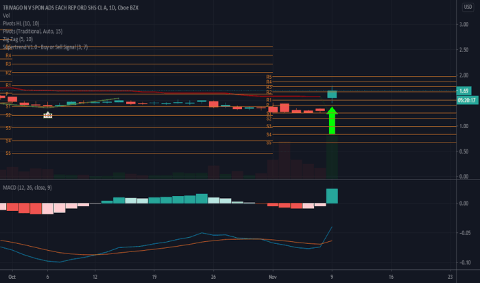 Trvg stock price