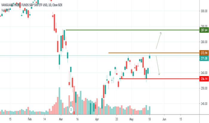 Voo future stock price