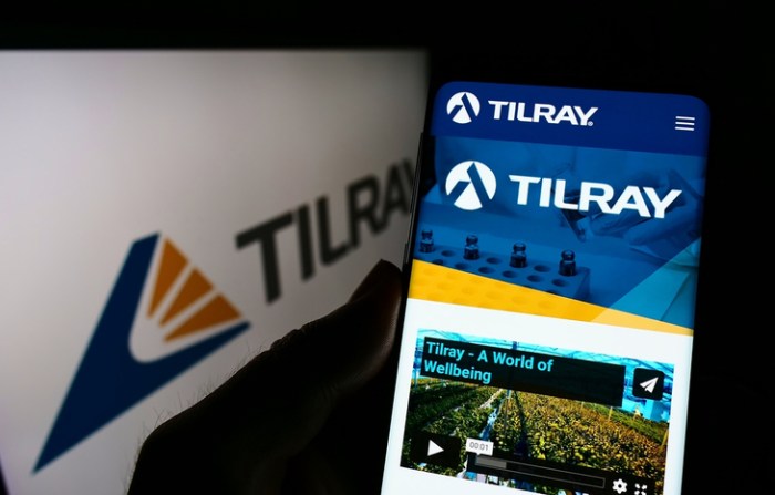 Tilray brands stock price